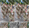 Evenement foto: Nijmeegse Vierdaagse 1119