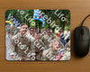 Evenement foto: Nijmeegse Vierdaagse 1119