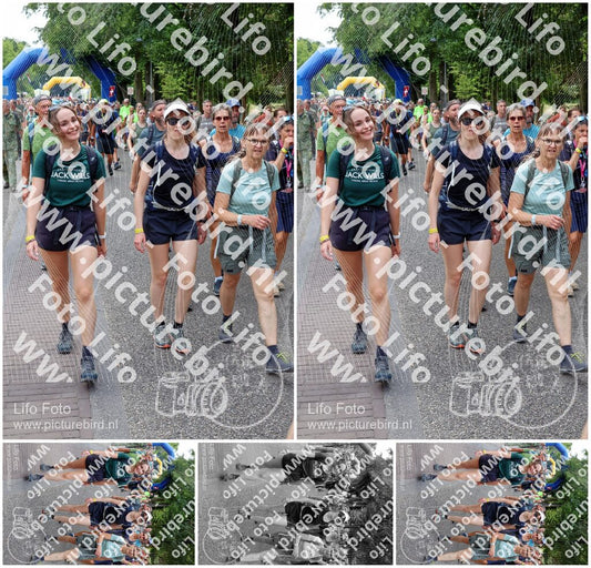Evenement foto: Nijmeegse Vierdaagse 1119