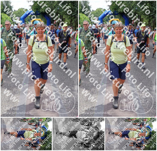 Evenement foto: Nijmeegse Vierdaagse 1119