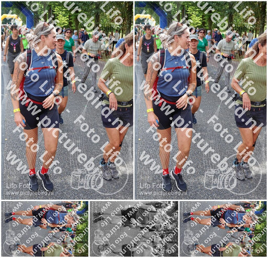 Evenement foto: Nijmeegse Vierdaagse 1119
