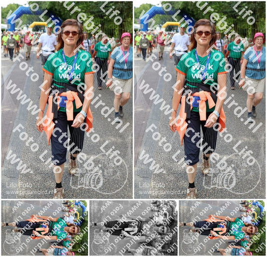 Evenement foto: Nijmeegse Vierdaagse 1119