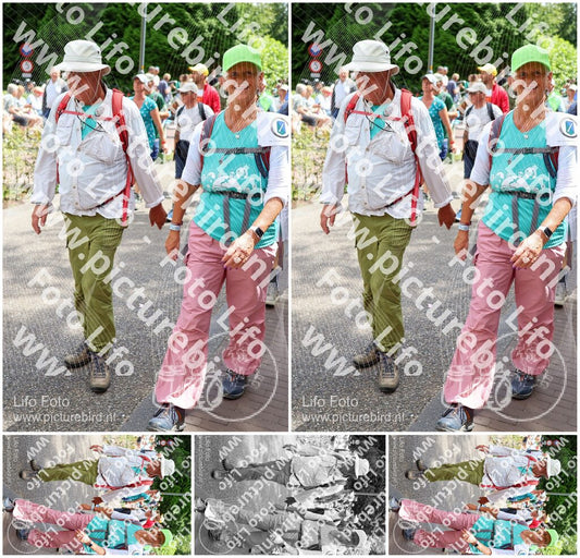 Evenement foto: Nijmeegse Vierdaagse 1119