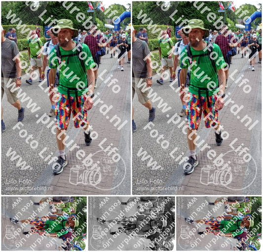 Evenement foto: Nijmeegse Vierdaagse 1118