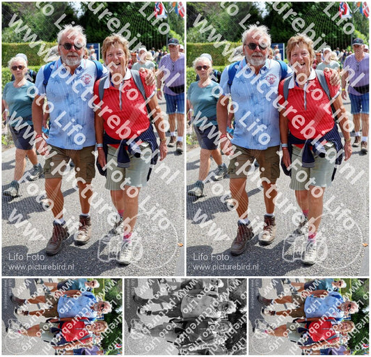 Evenement foto: Nijmeegse Vierdaagse 1118