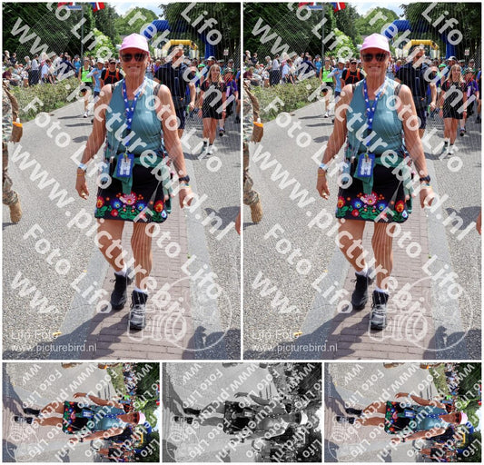 Evenement foto: Nijmeegse Vierdaagse 1118