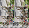 Evenement foto: Nijmeegse Vierdaagse 1118