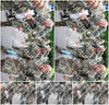 Evenement foto: Nijmeegse Vierdaagse 1118