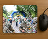 Evenement foto: Nijmeegse Vierdaagse 1118