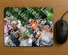 Evenement foto: Nijmeegse Vierdaagse 1118