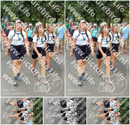 Evenement foto: Nijmeegse Vierdaagse 1118
