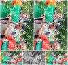 Evenement foto: Nijmeegse Vierdaagse 1118