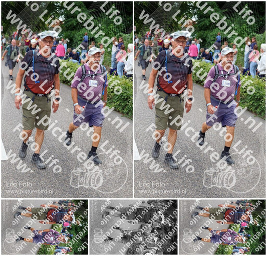 Evenement foto: Nijmeegse Vierdaagse 1117