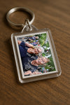 Evenement foto: Nijmeegse Vierdaagse 1117