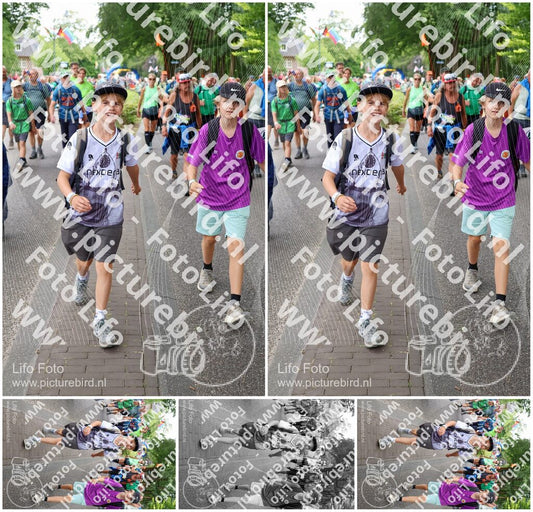 Evenement foto: Nijmeegse Vierdaagse 1117