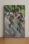 Evenement foto: Nijmeegse Vierdaagse 1117