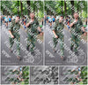 Evenement foto: Nijmeegse Vierdaagse 1117