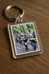 Evenement foto: Nijmeegse Vierdaagse 1117