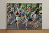 Evenement foto: Nijmeegse Vierdaagse 1117