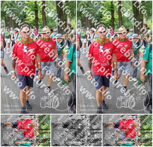 Evenement foto: Nijmeegse Vierdaagse 1117