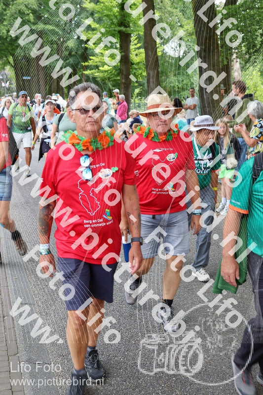 Evenement foto: Nijmeegse Vierdaagse 1117