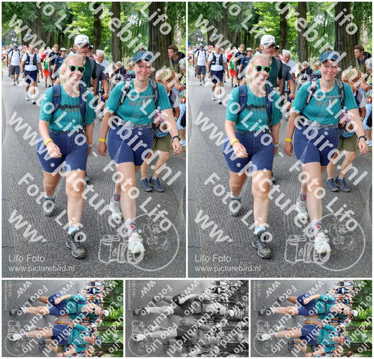 Evenement foto: Nijmeegse Vierdaagse 1117