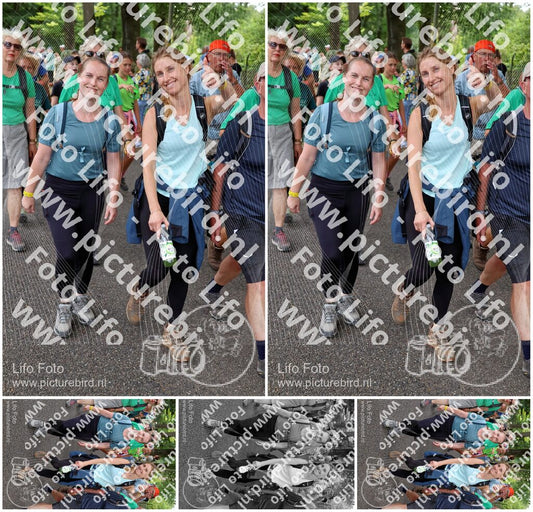 Evenement foto: Nijmeegse Vierdaagse 1117