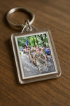 Evenement foto: Nijmeegse Vierdaagse 1117
