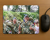 Evenement foto: Nijmeegse Vierdaagse 1117