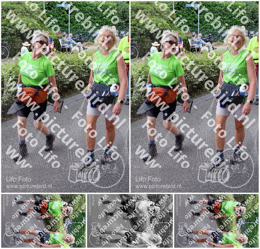Evenement foto: Nijmeegse Vierdaagse 1117