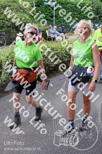Evenement foto: Nijmeegse Vierdaagse 1117