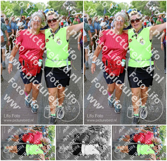 Evenement foto: Nijmeegse Vierdaagse 1117