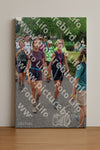 Evenement foto: Nijmeegse Vierdaagse 1116