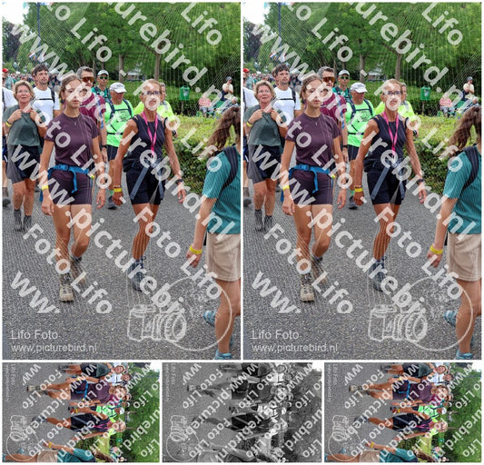 Evenement foto: Nijmeegse Vierdaagse 1116