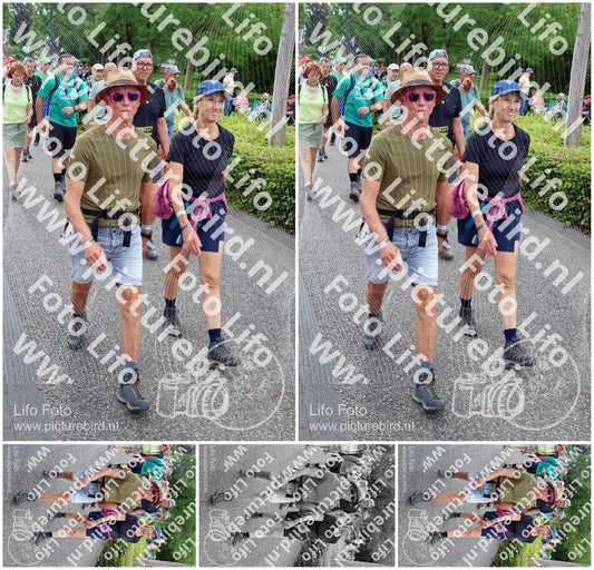 Evenement foto: Nijmeegse Vierdaagse 1116