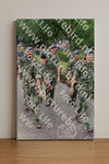 Evenement foto: Nijmeegse Vierdaagse 1116