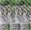 Evenement foto: Nijmeegse Vierdaagse 1116