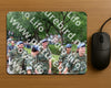 Evenement foto: Nijmeegse Vierdaagse 1116