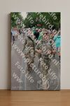 Evenement foto: Nijmeegse Vierdaagse 1116
