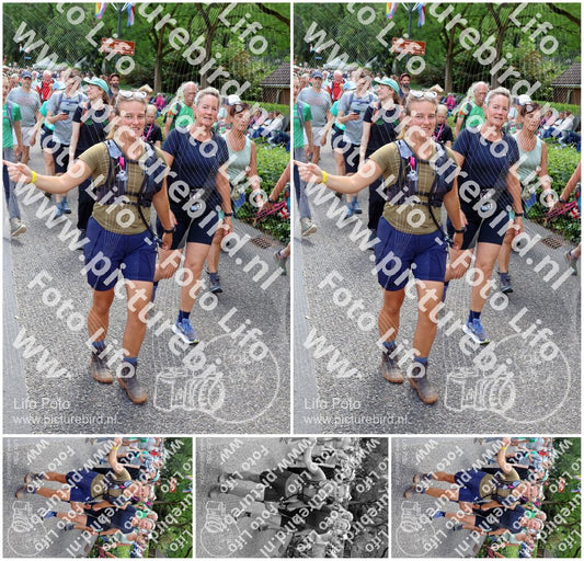 Evenement foto: Nijmeegse Vierdaagse 1116