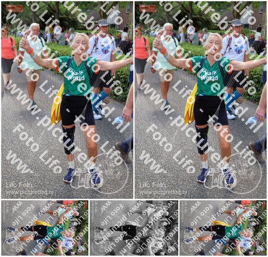 Evenement foto: Nijmeegse Vierdaagse 1116