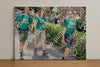 Evenement foto: Nijmeegse Vierdaagse 1116