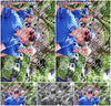 Evenement foto: Nijmeegse Vierdaagse 1116