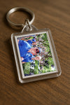 Evenement foto: Nijmeegse Vierdaagse 1116