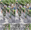 Evenement foto: Nijmeegse Vierdaagse 1116