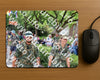 Evenement foto: Nijmeegse Vierdaagse 1116