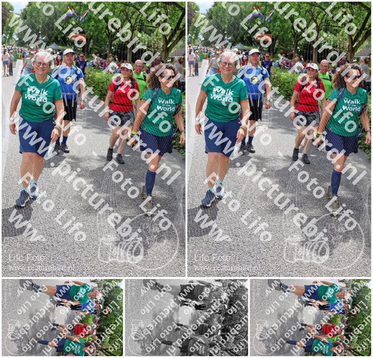Evenement foto: Nijmeegse Vierdaagse 1116