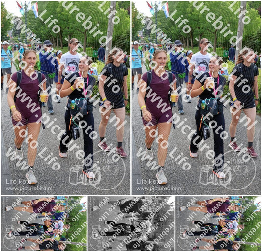 Evenement foto: Nijmeegse Vierdaagse 1115