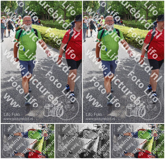 Evenement foto: Nijmeegse Vierdaagse 1115
