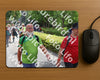 Evenement foto: Nijmeegse Vierdaagse 1115